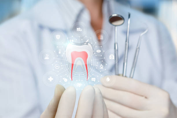 Dental X-Rays and Imaging in Oakland Park, FL